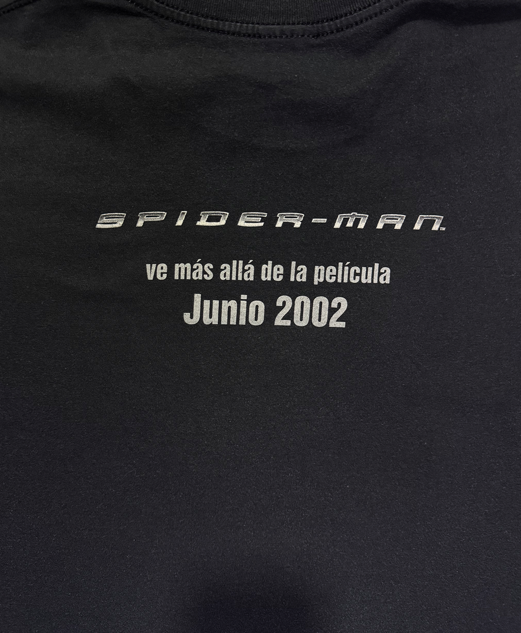 Vintage Spiderman 2002 T-Shirt - L