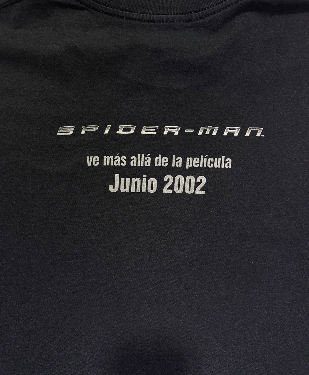 Vintage Spiderman 2002 T-Shirt - L